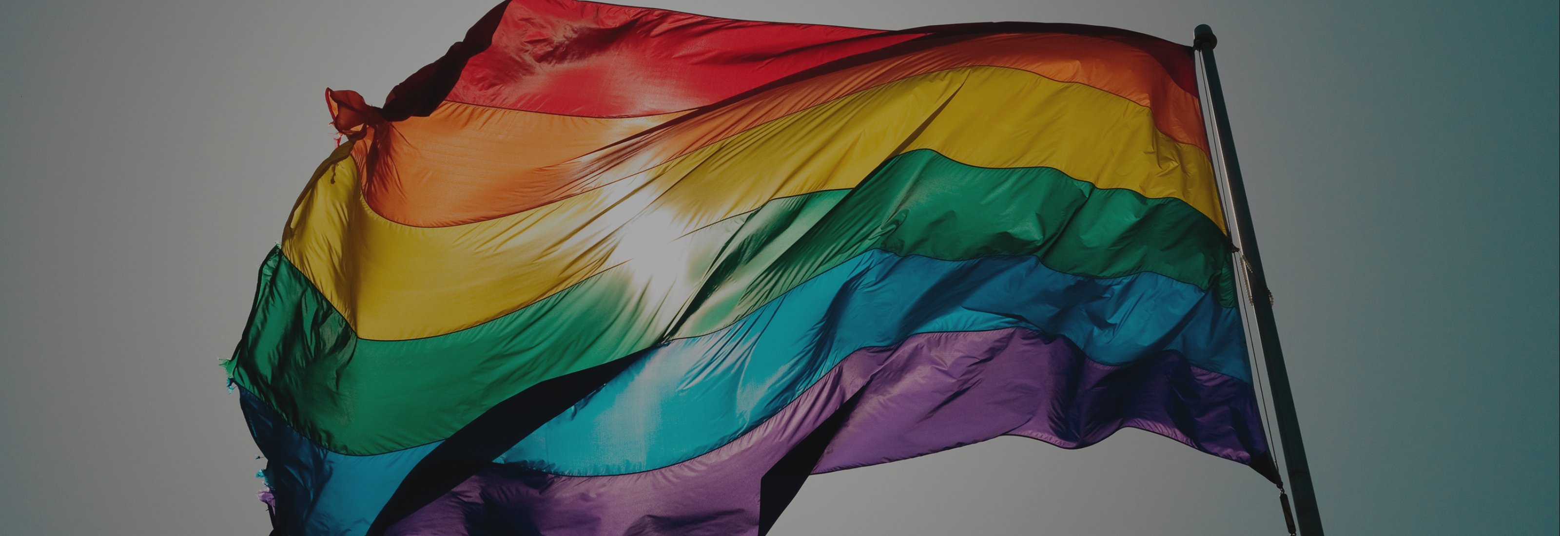 LGBTQ+在亿康先达:我们的承诺和责任
